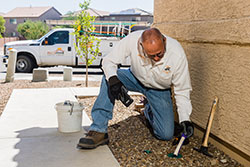 Termite treatment options in Southern Arizona include the Sentricon baiting system.
